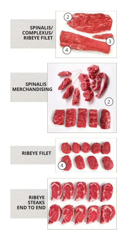 Types Of Cuts Ribeye Types Of Cuts Ribeye